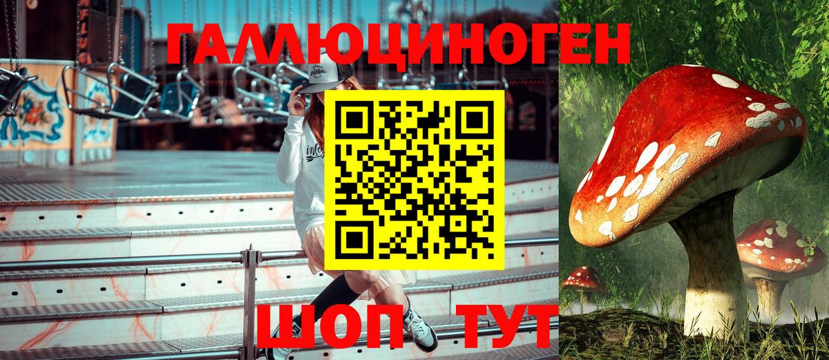 где купить   Псилоцибиновые грибы MAGIC MUSHROOMS  Вход с VPN  Магнитогорск  Псилоцибиновые грибы ЛСД 