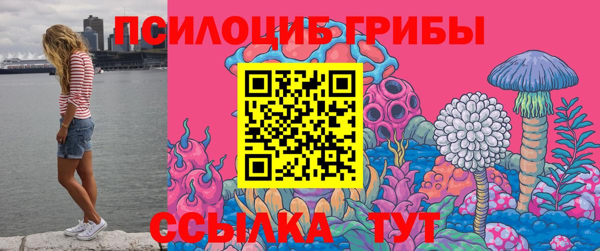 Галлюциногенные грибы Psilocybe Магнитогорск